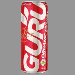 Guru 